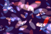 Bokeh Brushes for Procreate, a Brush Add-On by AnniaArt (Thumbnail 2 of 11)