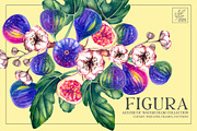 Figura Fig Plant Watercolor clipart, a Food Illustration by SashaKondr (Thumbnail 1 of 12)