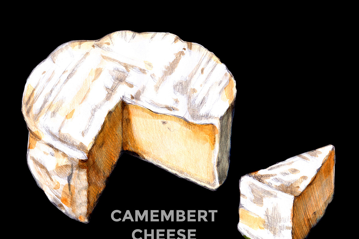 BRIE CAMEMBERT CHEESE WATERCOLOR, a Food Illustration by wedraw (Photo 2 of 7)