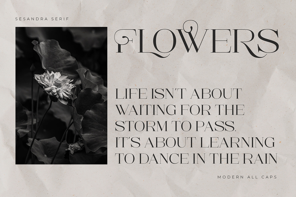 Sesandra Modern All Caps Serif, a Serif Font by Violet Natural (Photo 6 of 9)