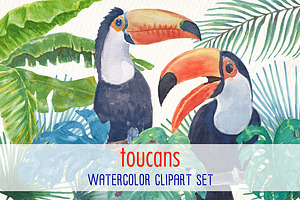 Toucans And Flamingos Watercolor Set