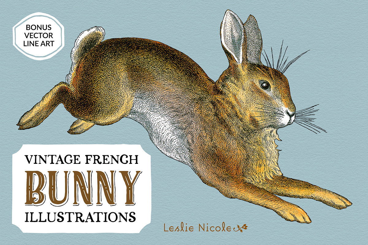 Vintage French Bunny Illustrations, an Animal Illustration by French Kiss Collections (Photo 1 of 12)
