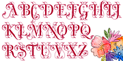 Vivian, a Serif Font by Wiescher-Design (Thumbnail 3 of 3)