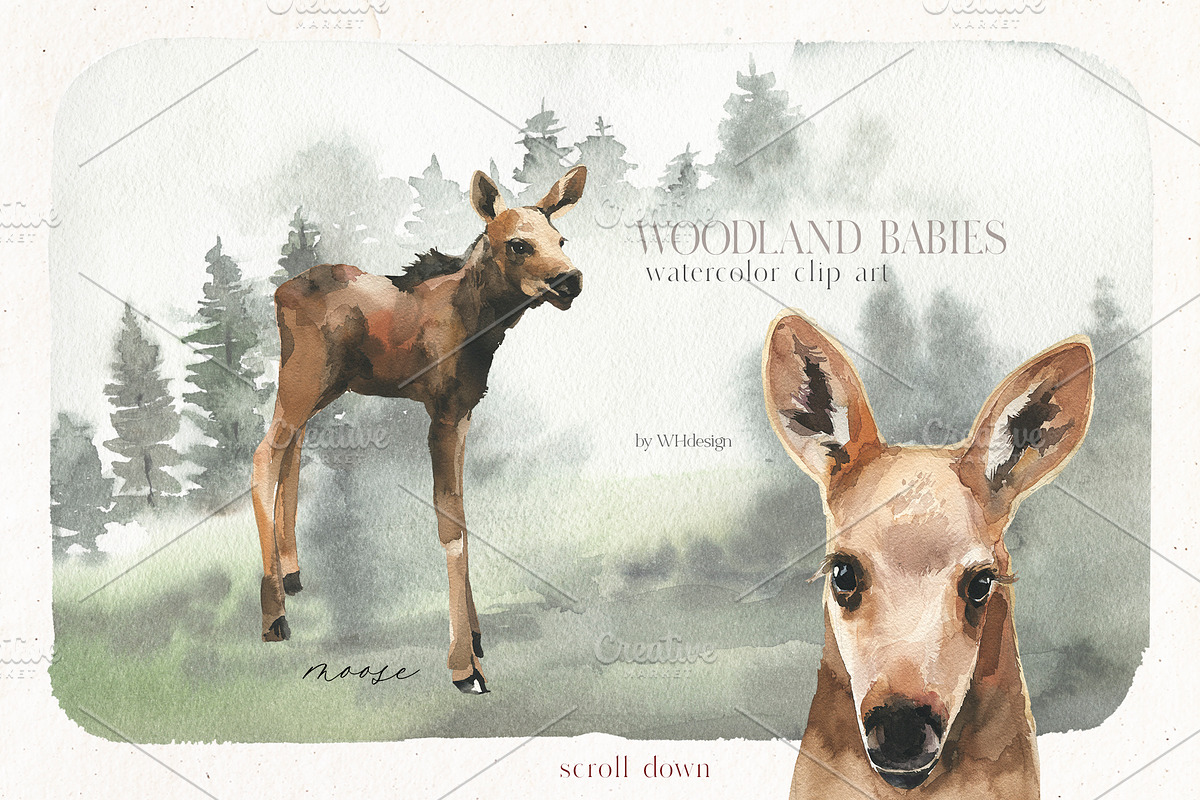 Woodland Babies Wild Animals Clipart, an Animal Illustration by whiteheartdesign (Photo 7 of 28)