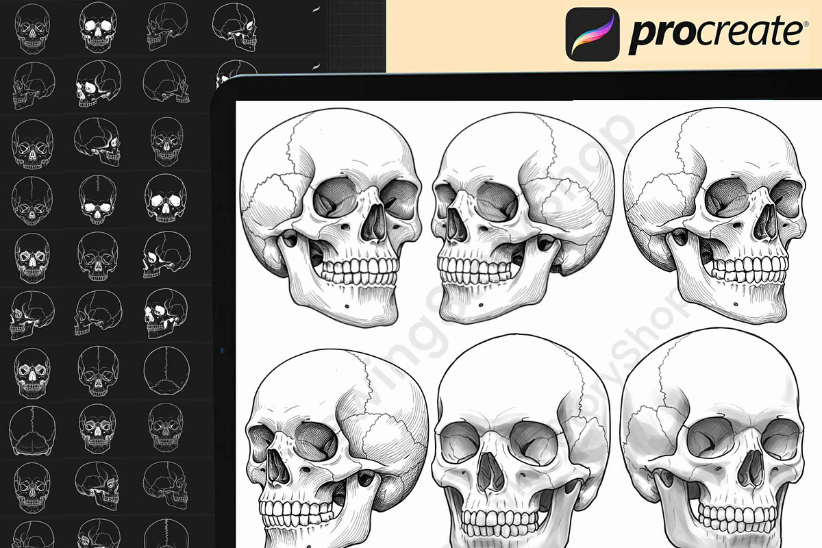 160 Procreate Skull Stamp Brushes, a Brush Add-On by DrawingStoryShop (Photo 6 of 6)