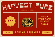 SECKLE - Vintage Display Font, a Font by Rightwheels (Thumbnail 4 of 10)