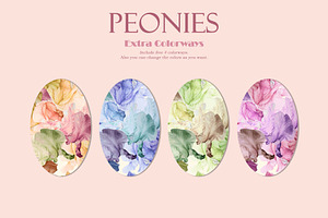 Peonies Patterns & Motifs