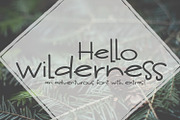 NEW! Hello Wilderness Sans Font, a Font by Sabrina Schleiger Design (Thumbnail 1 of 4)