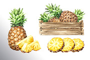 Tropical Pineapple. Hand painted, a Food Illustration by Daria Ustiugova (Thumbnail 24 of 28)