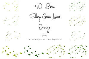 120 Green Tree Branches Overlays