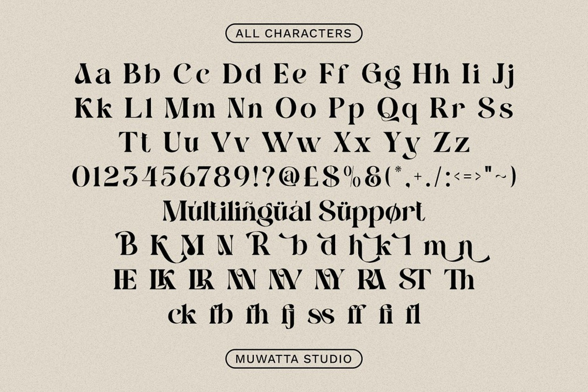 Assneya – Timeless Elegant Serif Typ, a Serif Font by Muwatta Studio (Photo 7 of 8)