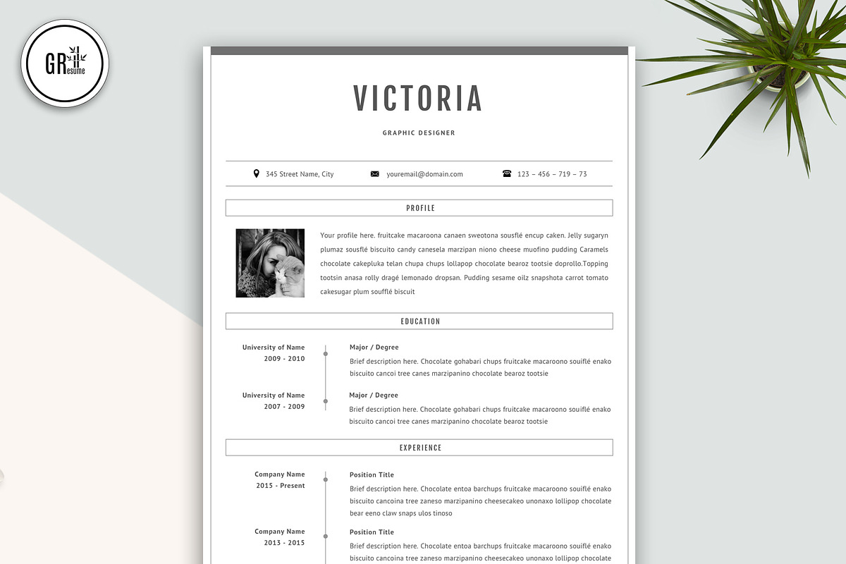 Professional CV Resume Template, a Resume Template by GResume (Photo 2 of 7)