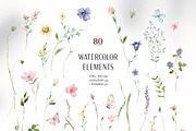 Summer Watercolor Wildflowers, a Decorative Illustration by Les Frolova (Thumbnail 3 of 11)