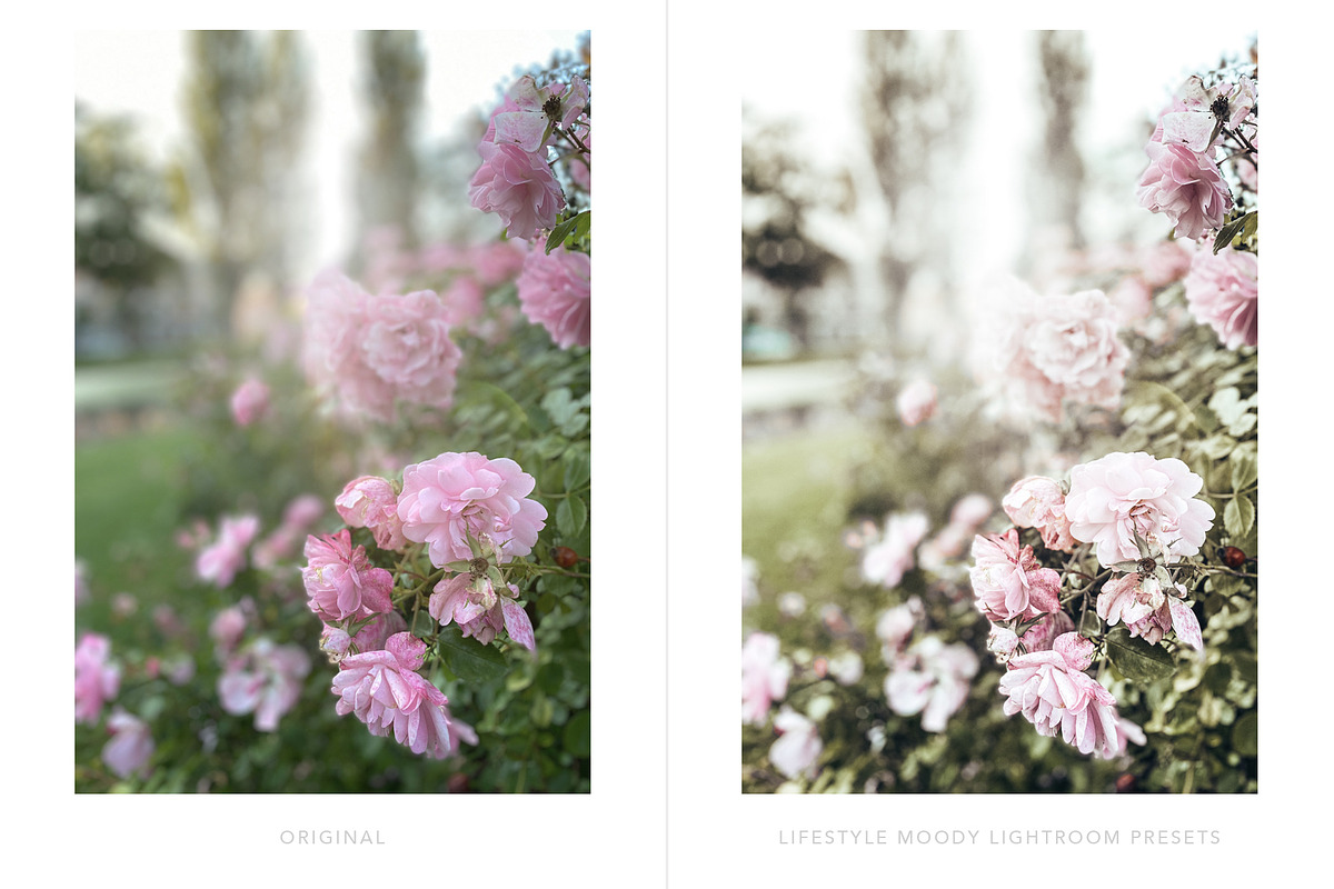 Moody Lifestyle Lightroom presets, an Action Add-On by BeArt-Presets (Photo 10 of 18)