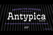 Antypica Regular