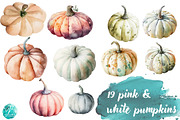 Watercolor Pumpkins, an Object Illustration by Verdigris Studios (Thumbnail 2 of 4)