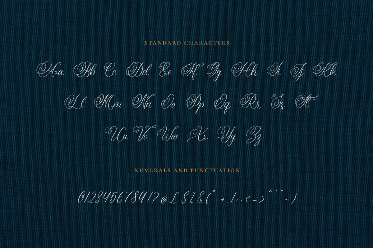 Amanda Calligraphy, a Script Font by RockboyStd (Photo 9 of 12)