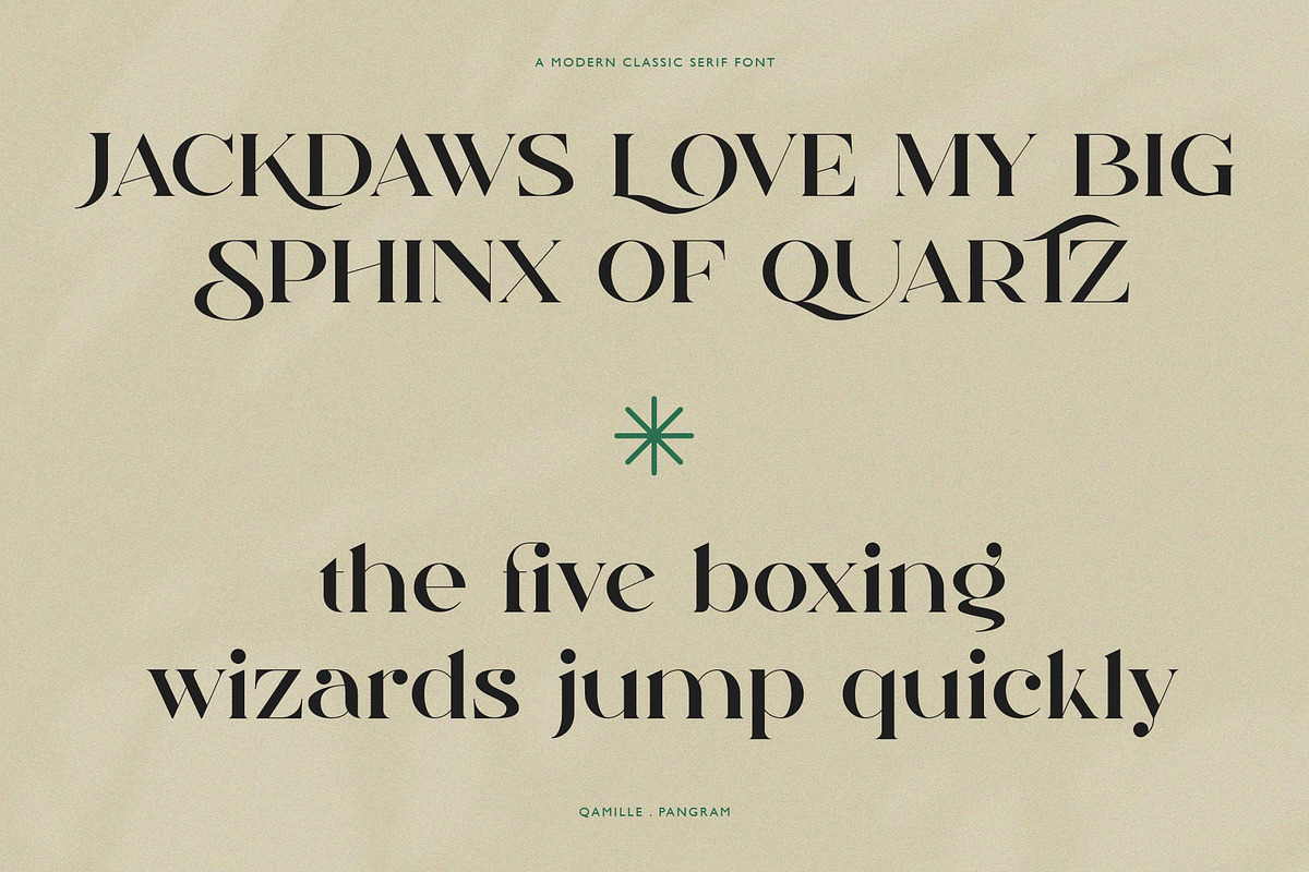 Qamille - Modern Classic Serif Font, a Serif Font by StudioinBry (Photo 10 of 13)