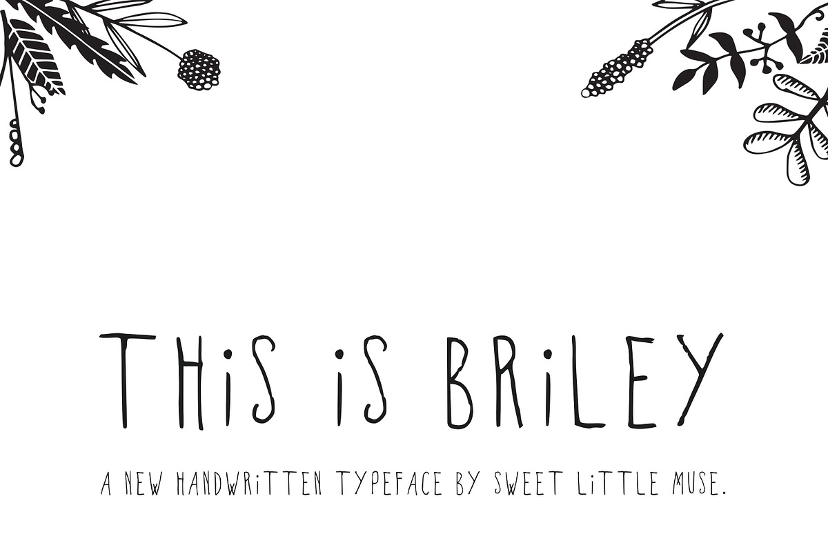 Briley Typeface