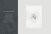 Bird Illustrations: Vector Pack, an Illustration by Sarah Ann Design (Thumbnail 5 of 6)