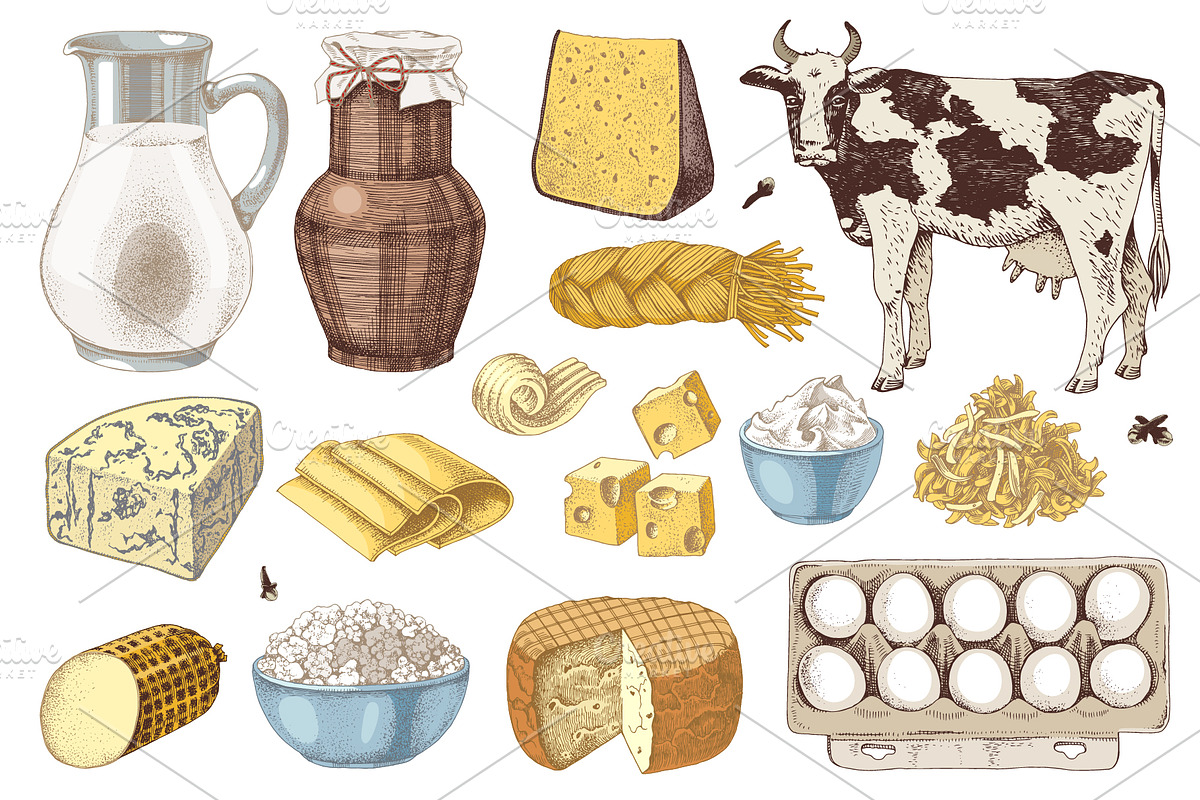 Farm fresh dairy products collection, a Food Illustration by handsketched (Photo 4 of 14)