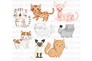 Cat Breed Clipart - Cute Animal, an Animal Illustration by Inkley Studio (Thumbnail 2 of 2)