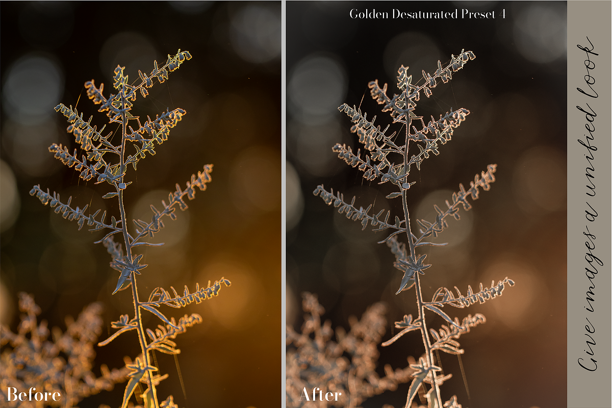 Golden Lightroom Presets, an Action Add-On by CL Creative Studio (Photo 5 of 9)