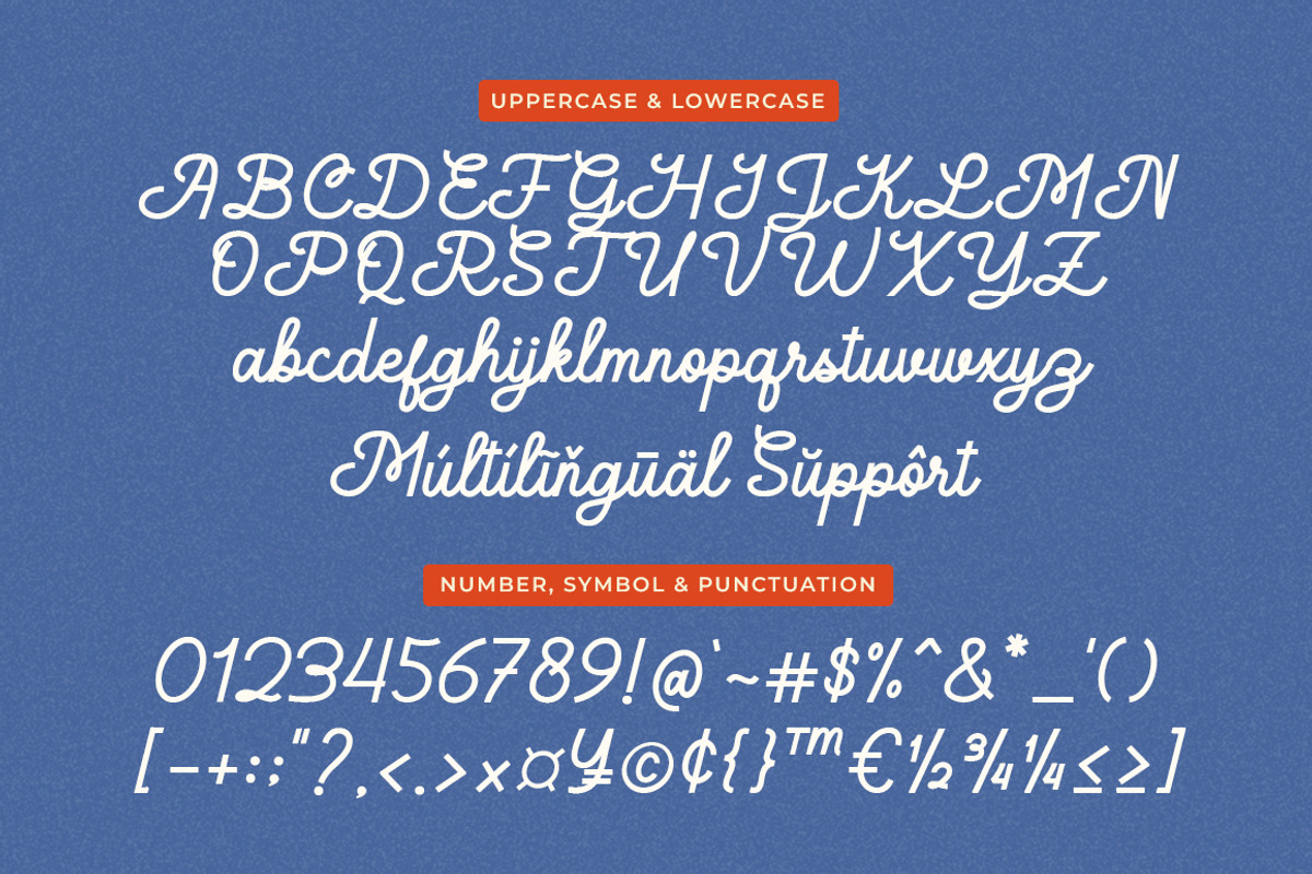 Leulasy a Monoline Script, a Font by Haps Space (Photo 3 of 8)