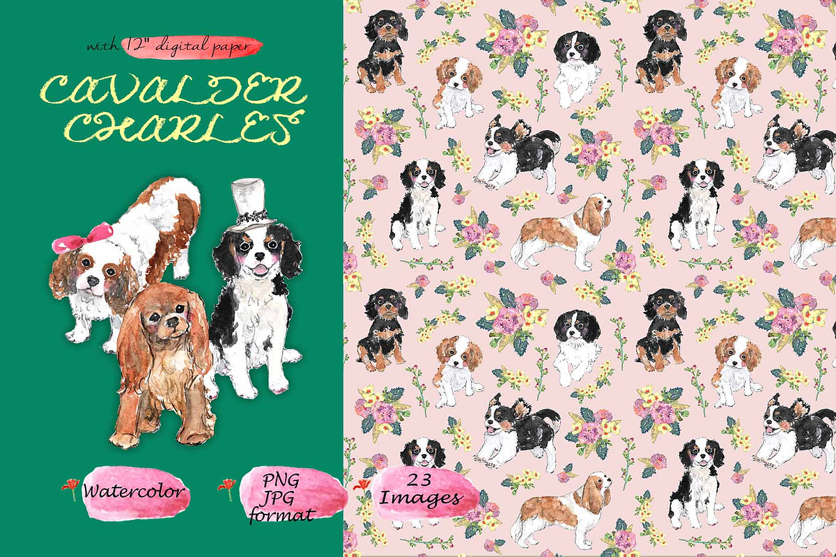 Cavalier King Charles, an Animal Illustration by VianneArt (Photo 1 of 4)