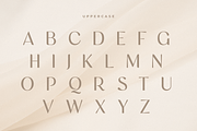 Famous - Modern Feminine Beauty Font, a Sans Serif Font by Sensatype (Thumbnail 24 of 33)