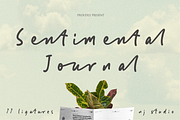 Sentimental Journey, a Handwritten Font by NJ Studio (Thumbnail 1 of 8)