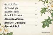 Aftersick - Display Font, a Serif Font by Prominent & Affluent (Thumbnail 3 of 10)