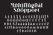 Hegarown Display Serif Font, a Serif Font by Randi Irvan | Rvandtype (Thumbnail 15 of 16)