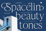 Stokeda Thin Modern Serif Font, a Serif Font by timelesstype.co (Thumbnail 12 of 15)