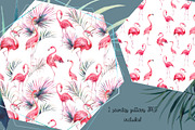 Flamingo, an Object Illustration by Eisfrei (Thumbnail 4 of 4)