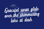 MN Havenhill - Handwritten Script, a Script Font by Mantra Naga (Thumbnail 3 of 15)