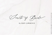 Hermitage Modern Calligraphy font, a Script Font by PeachCreme (Thumbnail 9 of 11)