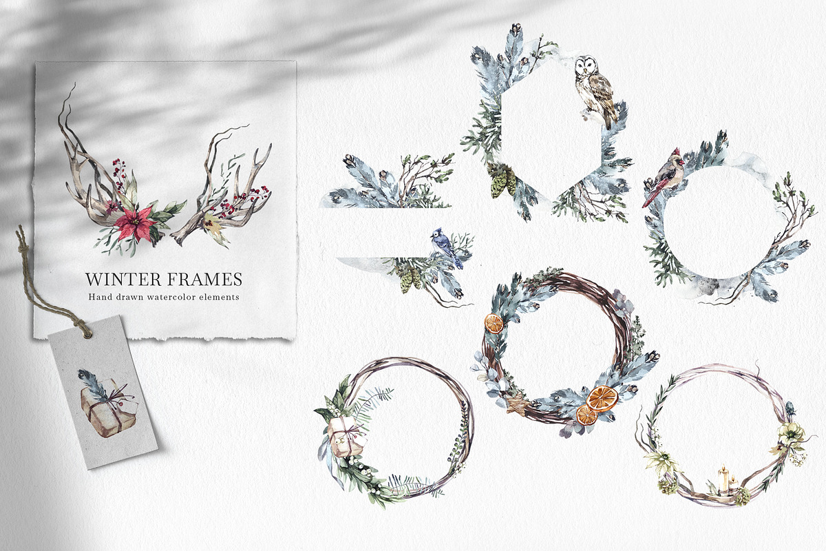 Forest Legends Winter animal set, a Seasonal Illustration by Anastezia Luneva (Photo 12 of 17)