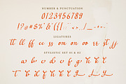 Avenleighna - Modern Casual Script, a Script Font by Bluestype Studio (Thumbnail 9 of 9)