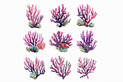 Watercolor Coral Clipart, an Illustration by Libby Wishes (Thumbnail 2 of 5)