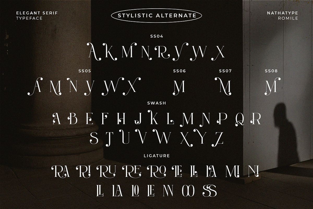 Romile, a Serif Font by Nathatype (Photo 11 of 12)