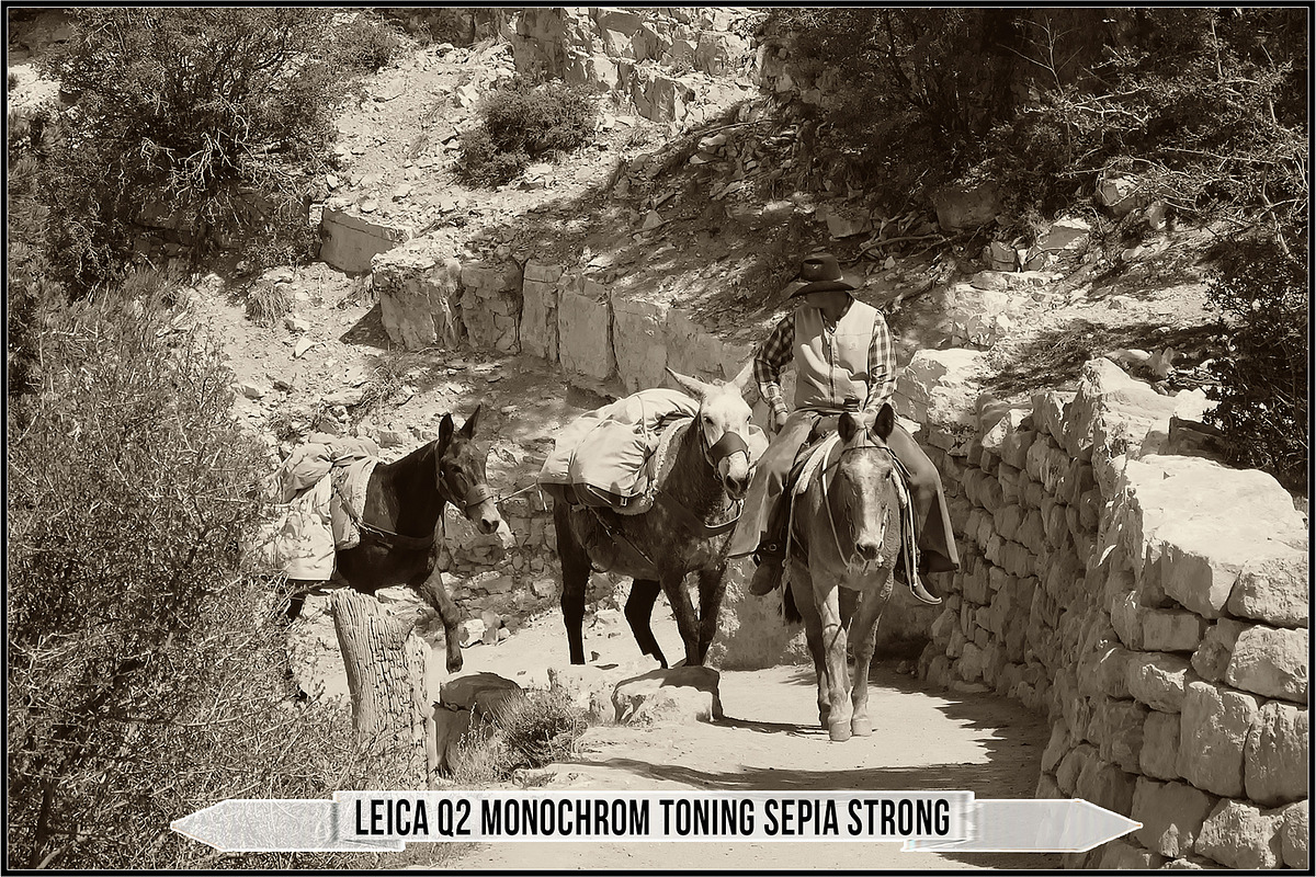 Authentic Sepia LUTs - Version 2, a Plug-in Add-On by Raztrend (Photo 18 of 30)