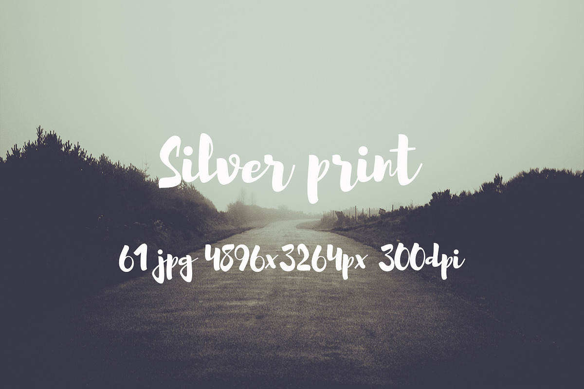 Silver print pack, a Templates & Theme by ApertureVintage (Photo 8 of 29)