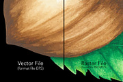 Hazelnuts Watercolors Illustration, an Illustration by andypray (Thumbnail 2 of 5)