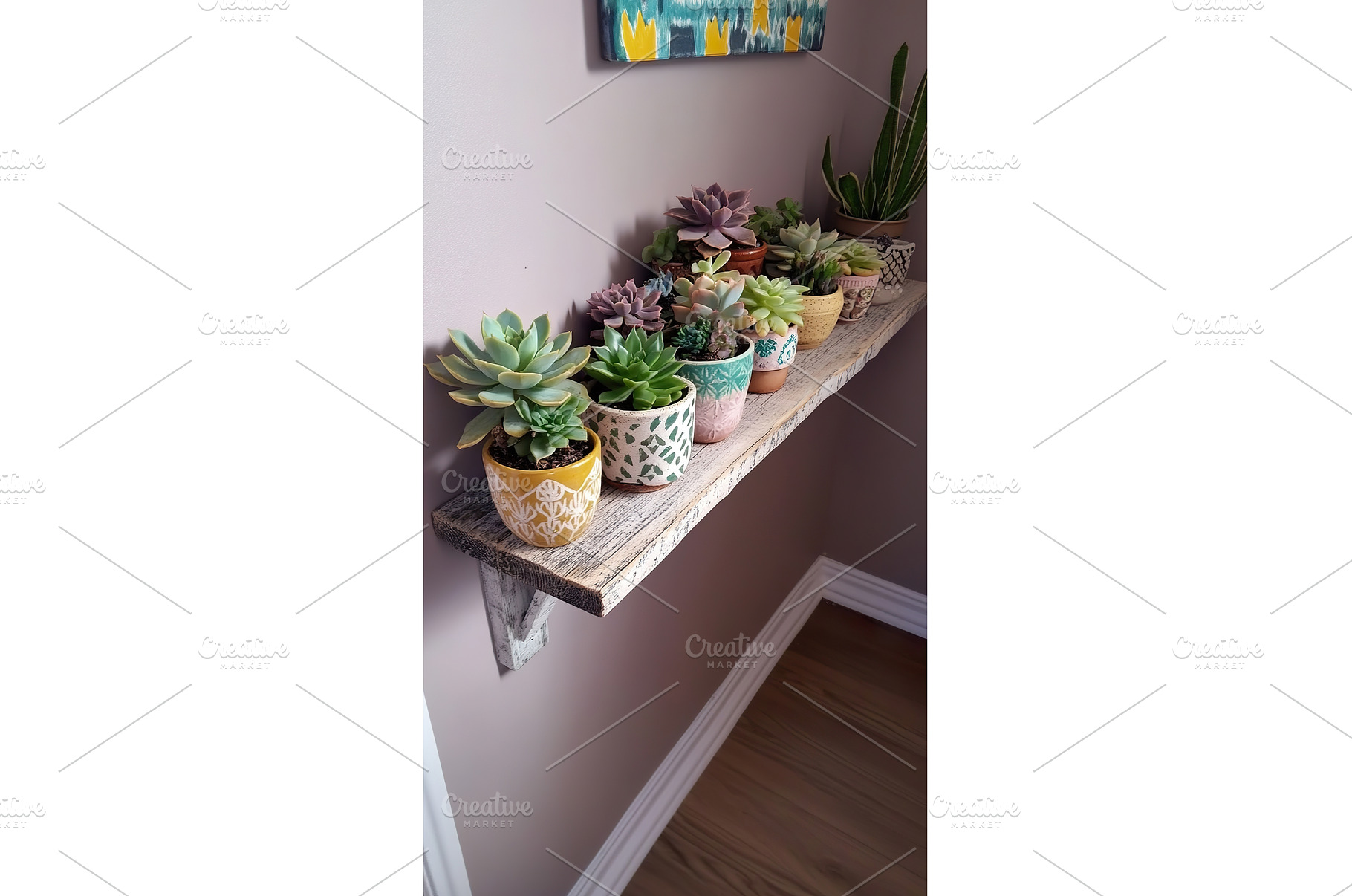 Various succulent plants in, a Nature Photo by Lermont51