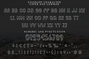 Winter Highland, a Script Font by InermediaSTUDIO (Thumbnail 7 of 8)