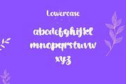Bold burst decor script font, a Script Font by Mehul Munjani (Thumbnail 4 of 9)