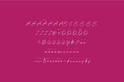 Rosa Signature typeface, a Script Font by WAP (Thumbnail 6 of 6)
