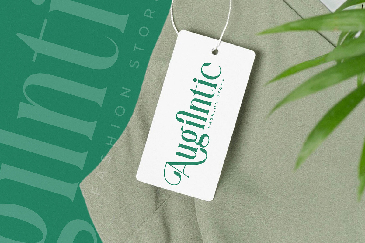 Bastible Modern Serif Font, a Serif Font by Letterena Studios (Photo 4 of 15)