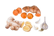 Watercolor organic food, a Food Illustration by Katya Zlobina (Thumbnail 7 of 9)